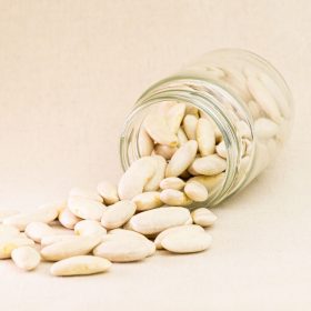 MONGETA FAVADA ASTURIANA