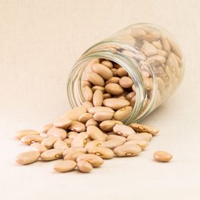 MONGETA CANYELLA ESPECIAL