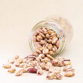 MONGETA PINTA ESPECIAL