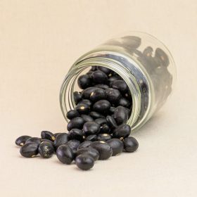 MONGETA TOLOSANA VERMELLA