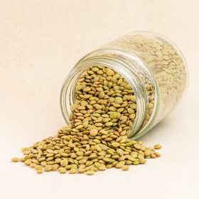 LLENTIA STON VERDINA