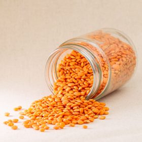 LLENTIA VERMELLA PELADA