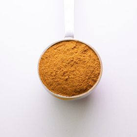 CANYELLA CEYLAN POLS