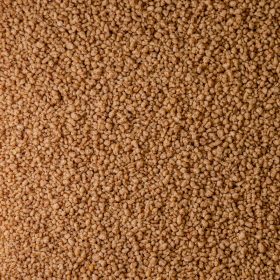 COUS COUS ESPELTA ECO