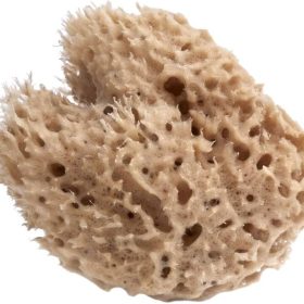 HONEY NATURAL SEA SPONGE