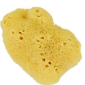 ESPOJA MARINA FACIAL