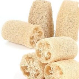 LUFFA VEGETABLE SPONGE