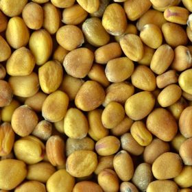 LLAVORS RABANETS ROSA ECO