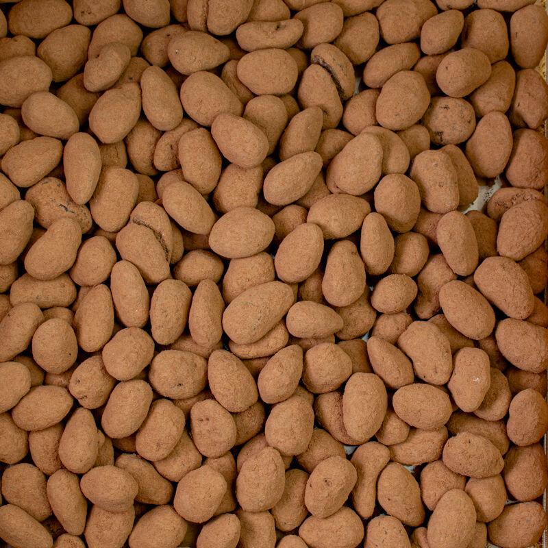 AMETLLA XOCO