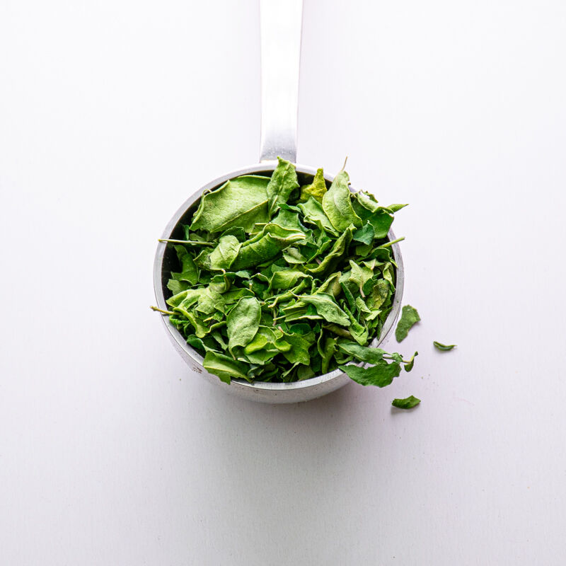 MORINGA FULLA SECA