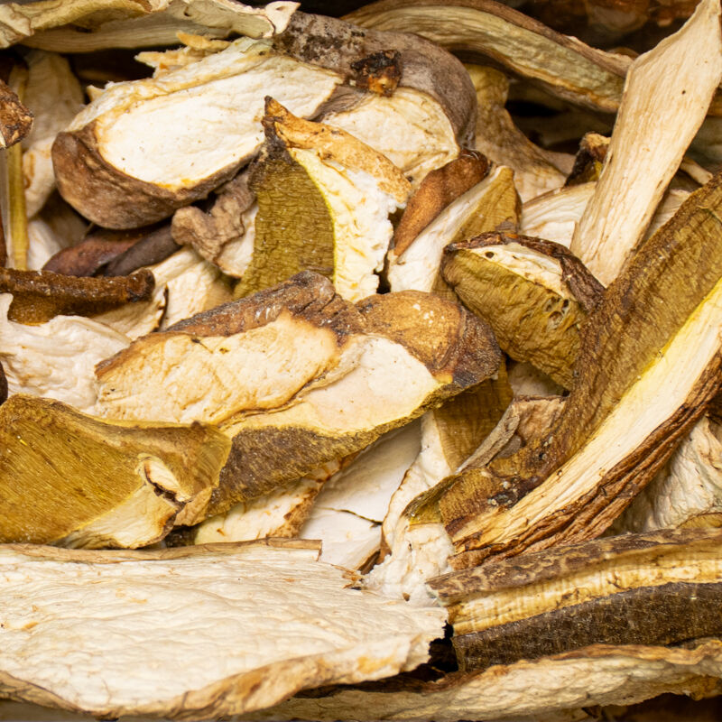 CEPS BOLETUS