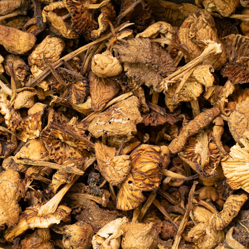 MOIXERNONS
