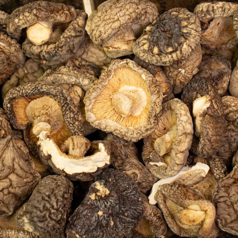 SHITAKE